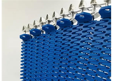 側(cè)齒輪傳動網(wǎng)帶